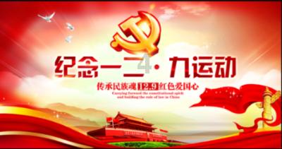 彼得比尔特379拼图